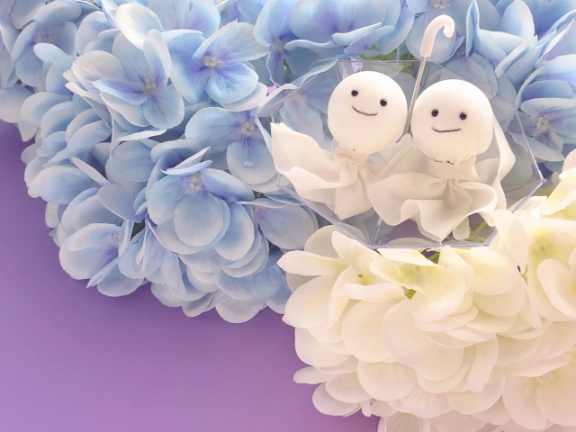 新潟の梅雨を快適に！プロが教える「湿気・カビ」対策✨